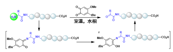 麻豆社